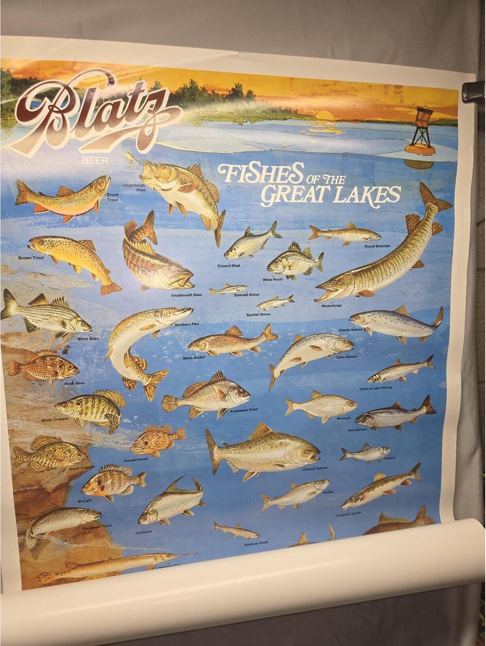 Blatz Fishes of the Great Lakes Vintage Beer Poster